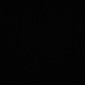 Meet your Posher, Shayla